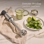 All-Clad Electrics Stainless Steel Immersion Blender 2 Piece Turbo Function 600 Watts Detachable, Variable Speed Control, Hand Blander, 9-1/4-inch