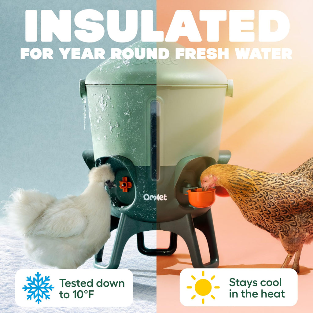 Omlet Insulated Chicken Waterer, 3 Gallon | Automatic Poultry Water Dispenser with 5 Cups & Nipples Included | BPA-Free | Anti-Roost Lid | Sage Green