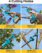 SEESII 2-in-1 Pole Electric Pruning Shears, 2.2" Cut Cordless Pole Pruner