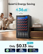 EUHOMY 125 Can Wine Cooler Refrigerator, Wine Fridge Glass Door, Black
