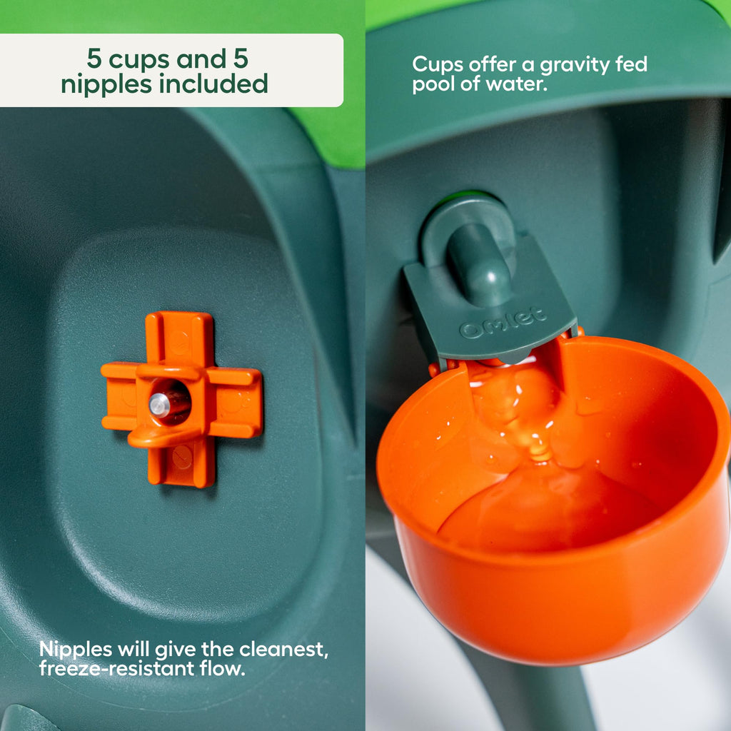 Omlet Insulated Chicken Waterer, 3 Gallon | Automatic Poultry Water Dispenser with 5 Cups & Nipples Included | BPA-Free | Anti-Roost Lid | Sage Green