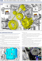 Haynes Chilton Compatible for Ford Mustang (2015-2023) Repair Manual - Full Color Photos and Diagrams with Free Online Access to More Repair Content