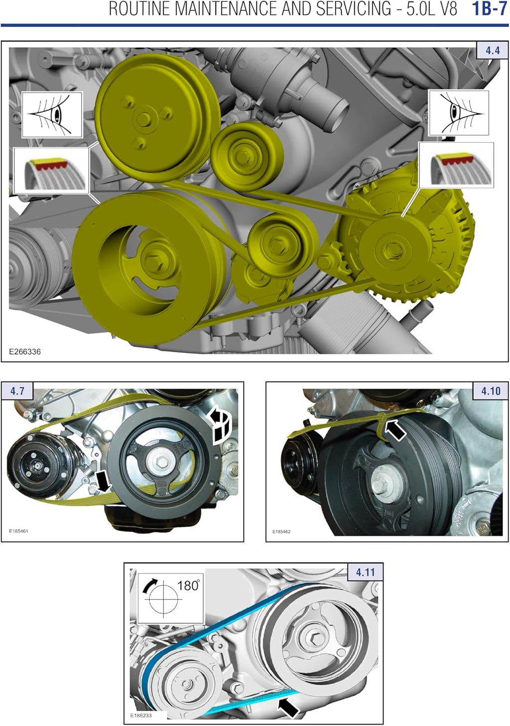 Haynes Chilton Compatible for Ford Mustang (2015-2023) Repair Manual - Full Color Photos and Diagrams with Free Online Access to More Repair Content