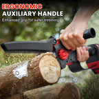 2-in-1 Cordless Pole Saw, 8 Inch Mini Chainsaw, 6.6-Ft Electric Pole Saws