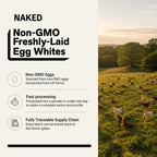 Naked 3LB Non-GMO Egg White Protein Supplement Powder, Unflavored, No Additives, Paleo, Dairy Free, Gluten Free, Soy Free – 25g Protein, 44 Servings