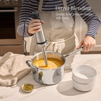 All-Clad Electrics Stainless Steel Immersion Blender 2 Piece Turbo Function 600 Watts Detachable, Variable Speed Control, Hand Blander, 9-1/4-inch