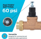 Cash Acme EB45 Pressure Regulating Valve, Double Union, 3/4 Inch NPT Female, Poly Top, 60 PSI, PVA16P-DUTH-60, Brass