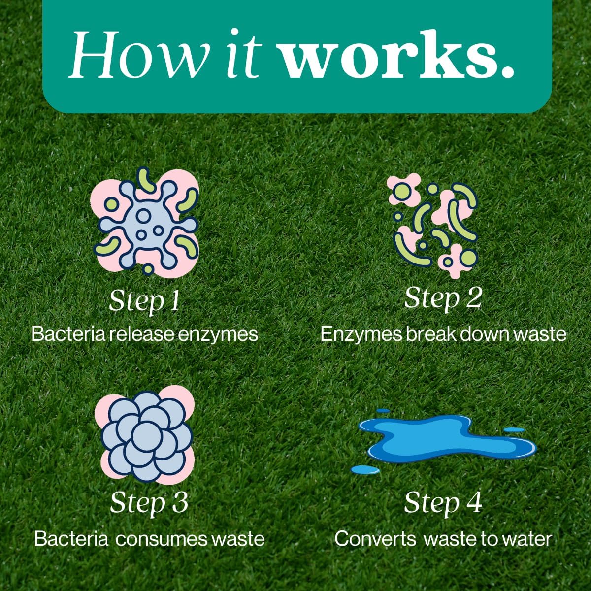 Eco Strong Outdoor Odor Eliminator | Outside Dog Urine Enzyme Cleaner – Powerful Pet, Cat, Animal Scent Deodorizer | Professional Strength for Yard