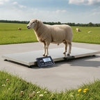 VEVOR Livestock Scale 660 lbs, Large Animal Scale for Dogs, Pigs, Goats
