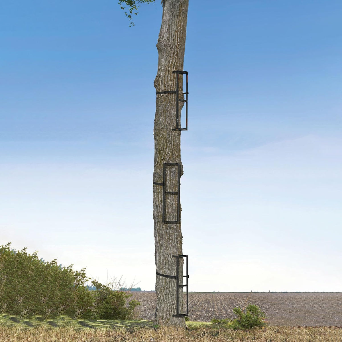 Muddy Hunting Climbing Gear for Tree Stands