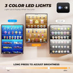 Wall Display Case with Glass Doors, Sports Card Display Case