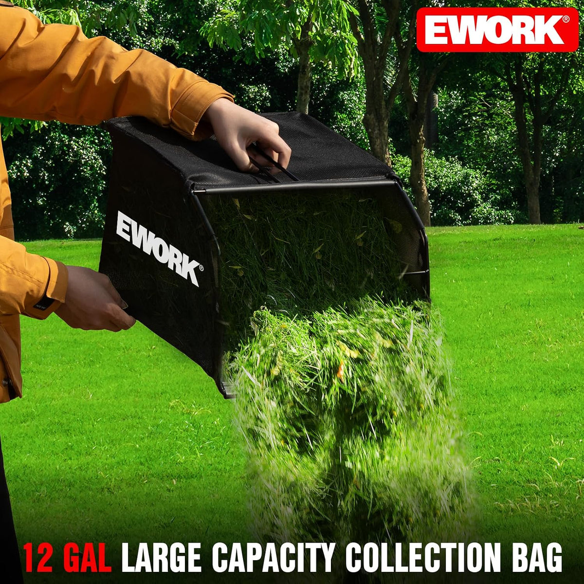 Electric Dethatcher and Scarifier 17-Inch 15-Amp with Collection Bag