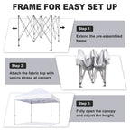 Eurmax Canopy 10' x 20' Violet Pop-up Outdoor Canopy, Heavy Duty Roller Bag