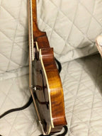Eastman F-Style Mandolin, 8 Strings, Brown, With Hard Case - MD515