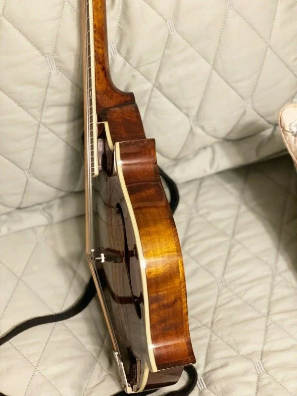 Eastman F-Style Mandolin, 8 Strings, Brown, With Hard Case - MD515
