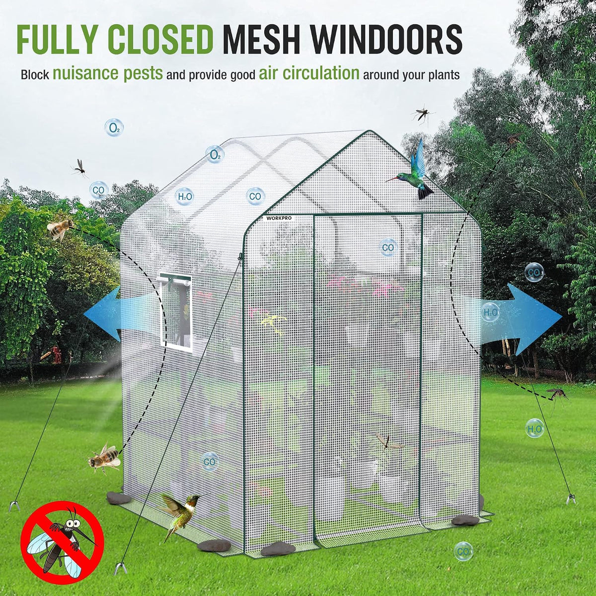 WORKPRO Greenhouse, Heavy Duty Walk-in Greenhouse (56” x 56” x 77”)