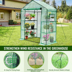 Greengro Greenhouse, 28 x 57 x 76'' Walk in Greenhouses for Outdoors Indoor