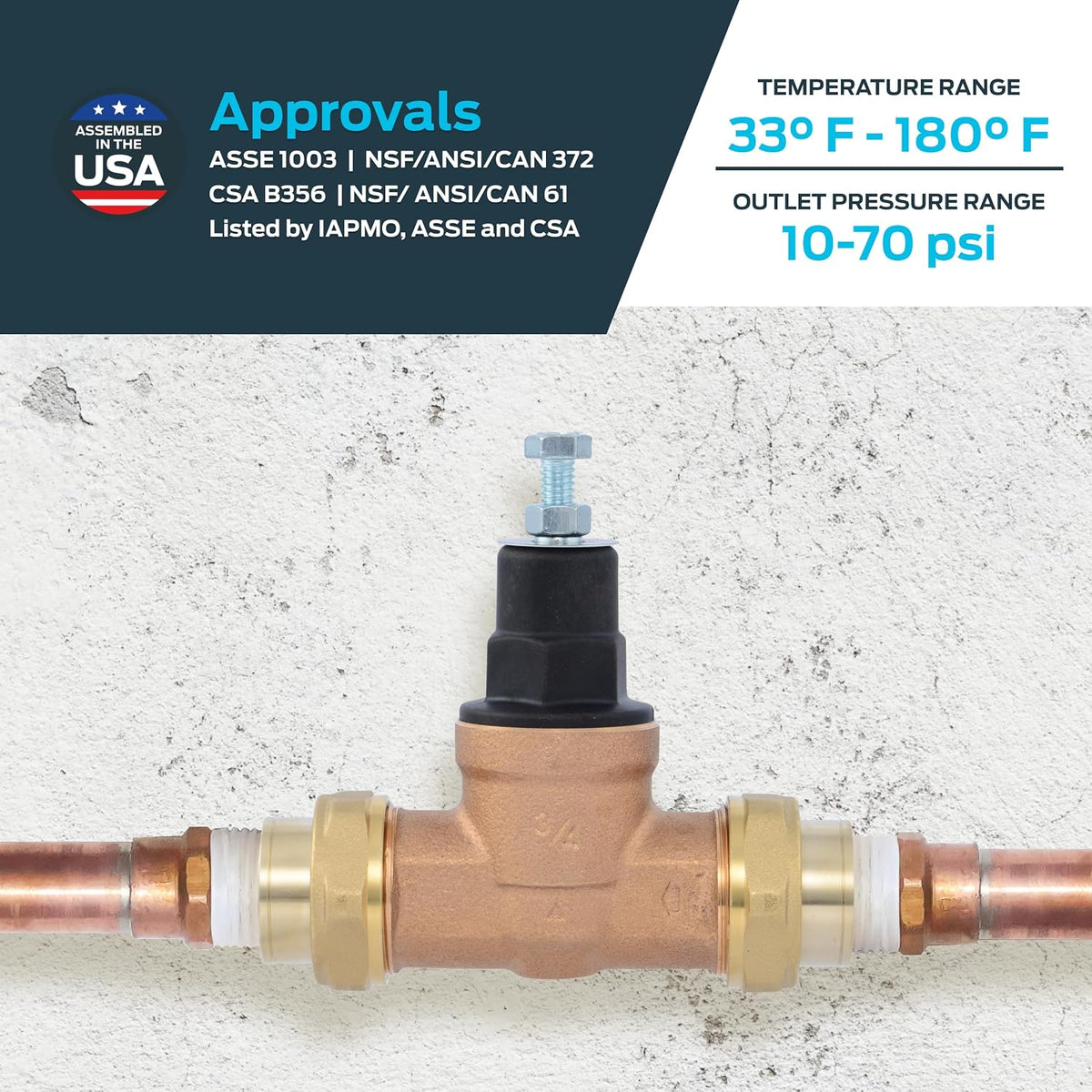 Cash Acme EB45 Pressure Regulating Valve, Double Union, 3/4 Inch NPT Female, Poly Top, 60 PSI, PVA16P-DUTH-60, Brass