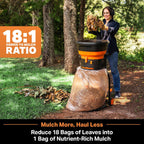 LawnMaster 15-Amp Electric Leaf Shredder, LD1501