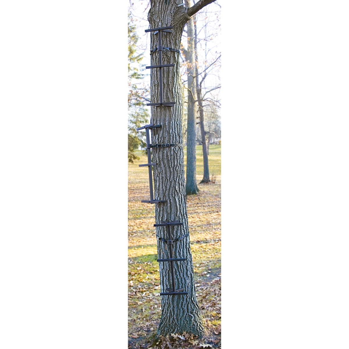 Guide Gear Quick Climbing Sticks, 3 Pack
