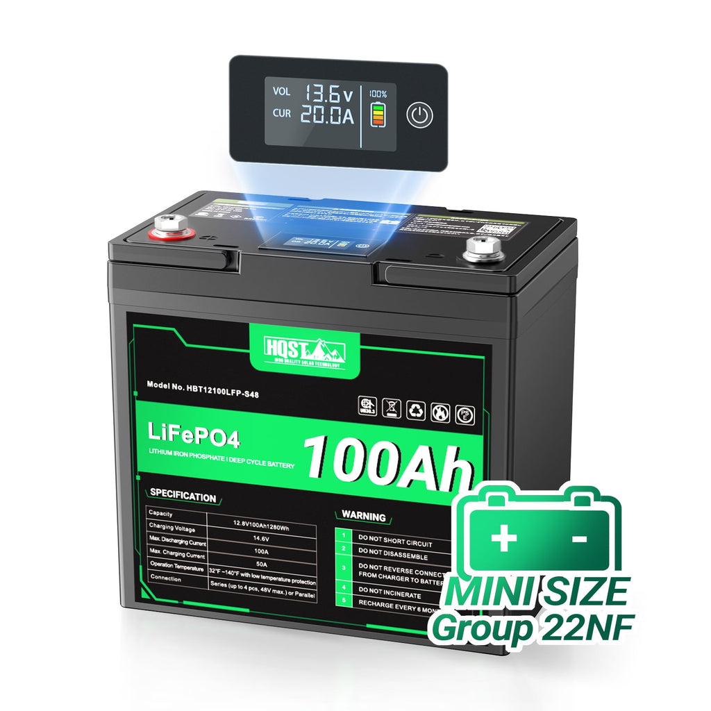 12 Volt 100Ah Lithium Iron Phosphate Battery with LED Meter, LiFePO4 Battery, 10 Year Lifetime, Low & High Temp Protection