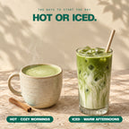 6 pack) Kuli Kuli Organic Matcha Green Tea Moringa Latte, Lion's Mane, Low-Caffeine, 3.41 oz