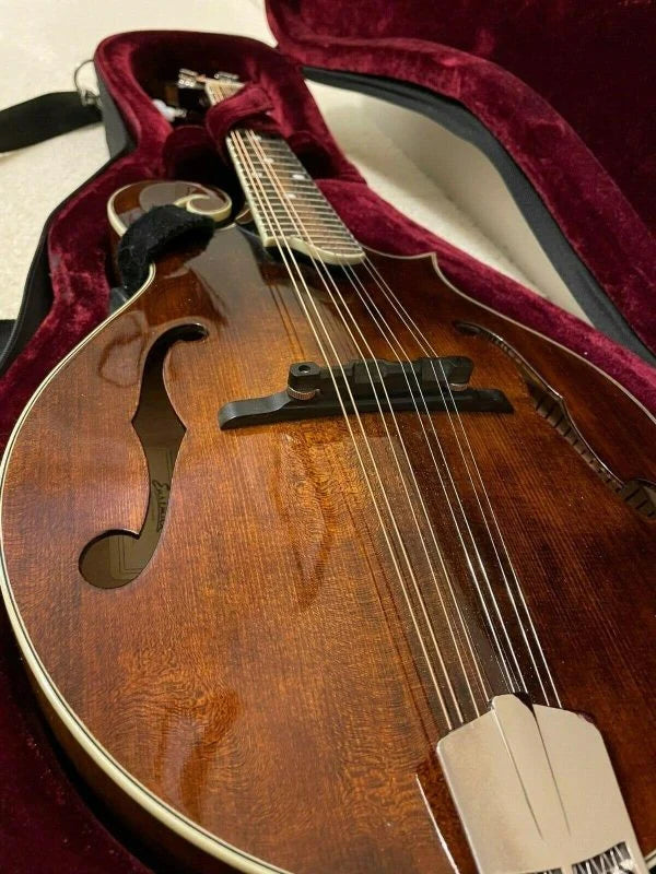 Eastman F-Style Mandolin, 8 Strings, Brown, With Hard Case - MD515