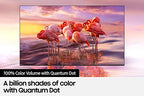 SAMSUNG 32-Inch Class QLED Q60A Series 4K UHD Smart TV With Alexa Built-In - QN32Q60AAFXZA
