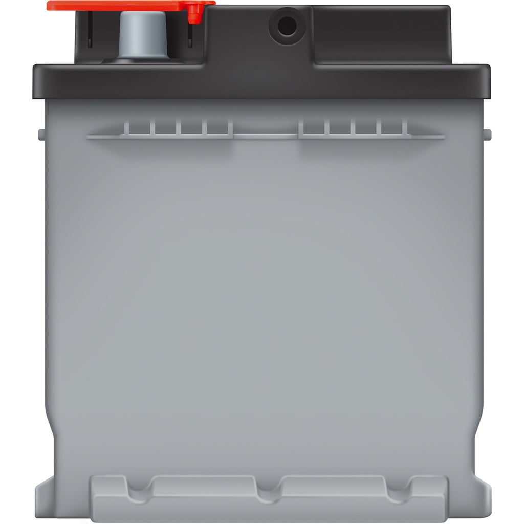 EverStart Platinum AGM Automotive Battery, Group Size H8 / LN5 / 49, 12 V, 900 CCA