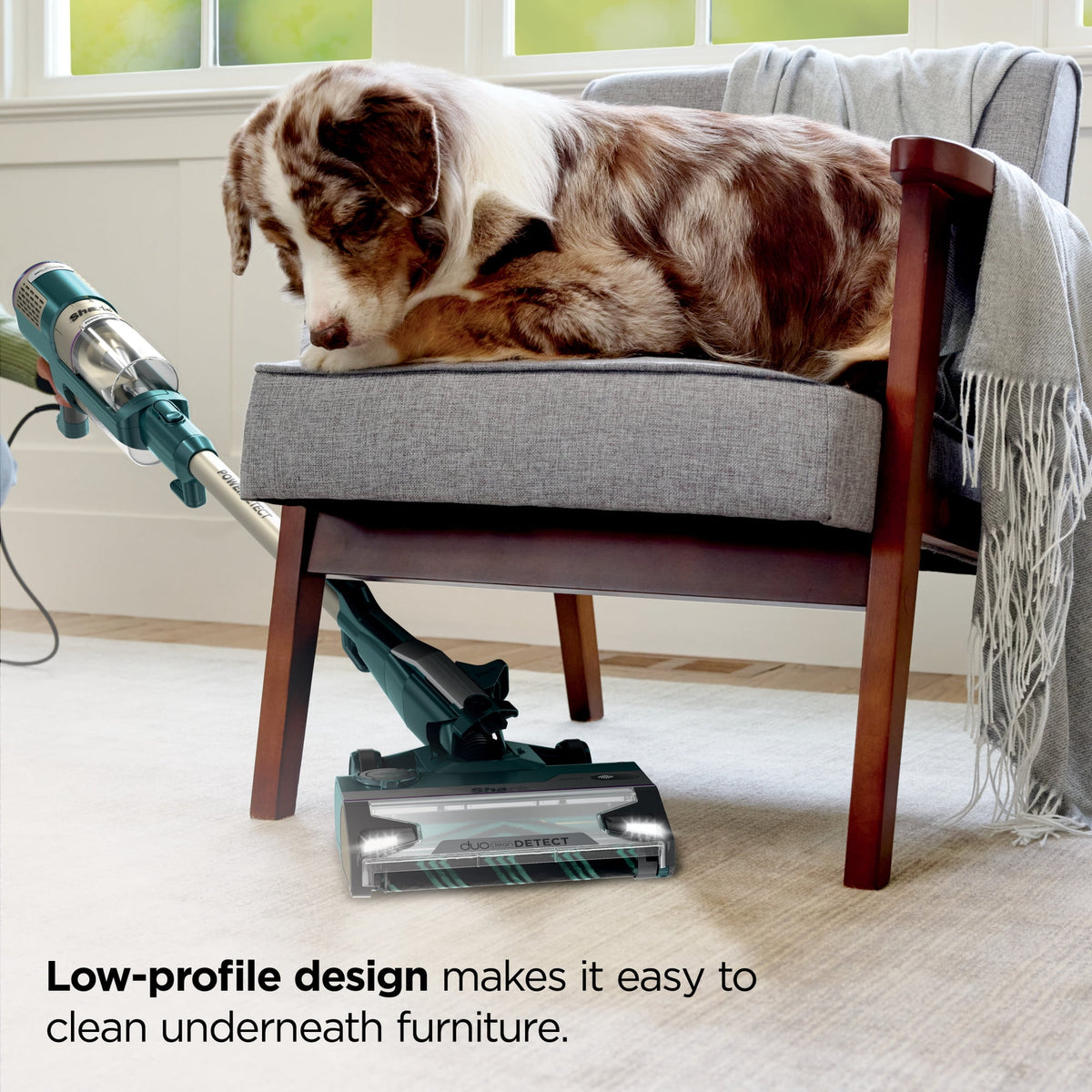 Shark PowerDetect Corded Stick Vacuum, Carpet and Hardfloors, Pet Friendly, Direction Detect, Floor Detect, DuoClean Brushroll, Removable Handheld