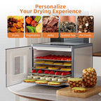 TINANA 6-Tray Stainless Steel Food Dehydrator with Touch Control, 95–158°F Adjustable Temperature, 48-Hour Timer, 360° Airflow, Dark Gray