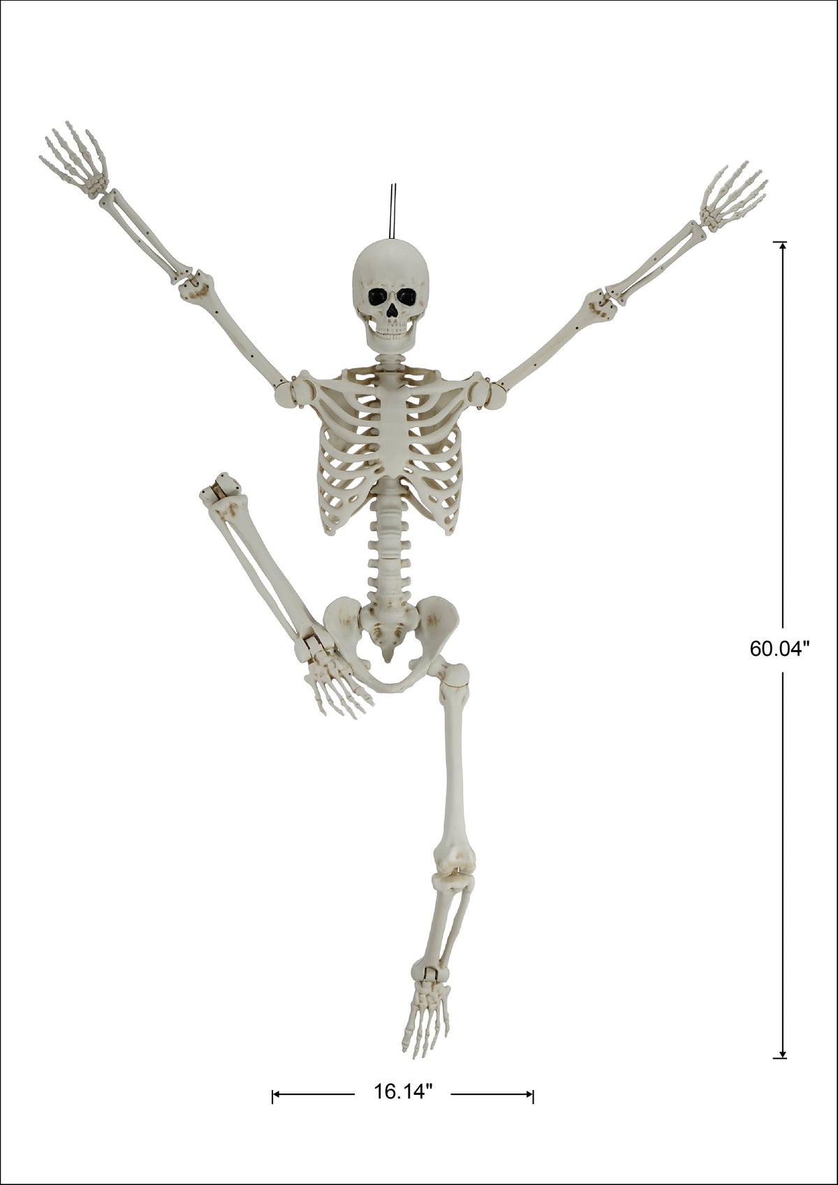 Hanging Posable Skeleton Decoration, White, 5', Halloween by Way To Celebrate