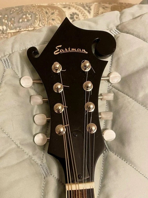 Eastman F-Style Mandolin, 8 Strings, Brown, With Hard Case - MD515