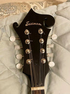Eastman F-Style Mandolin, 8 Strings, Brown, With Hard Case - MD515