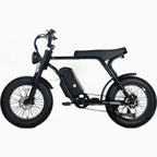 Electric Mountain Bike For Adults, 20 x 4.0 Fat Tires, 1000W Motor, 48V 20Ah Battery, Black - G-M1Sp