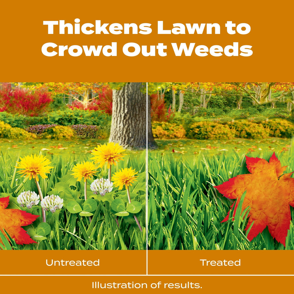 Scotts Turf Builder WinterGuard Fall Weed & Feed, Weed Killer Plus Fall Fertilizer, 12,000 sq. ft., 33.84 lbs.