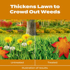 Scotts Turf Builder WinterGuard Fall Weed & Feed, Weed Killer Plus Fall Fertilizer, 12,000 sq. ft., 33.84 lbs.