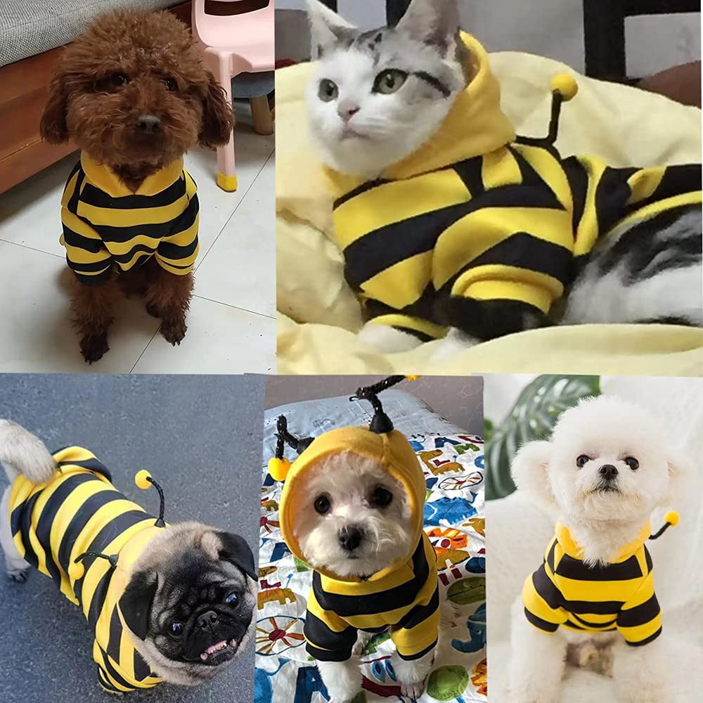 WILLED Pet Bee Halloween Costume for Cats and Small to Medium Dogs, Party Cosplay Dress Up Festival Decoration for Pets