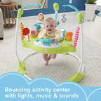 Fisher-Price Fitness Fun Folding Jumperoo Infant Activity Center With Lights And Music - HBM25