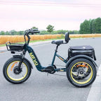 DWMEIGI Silverado 20 inch 48V/14Ah 750W Folding Electric Tricycle With Wide Tires, 150 kg - MG2301