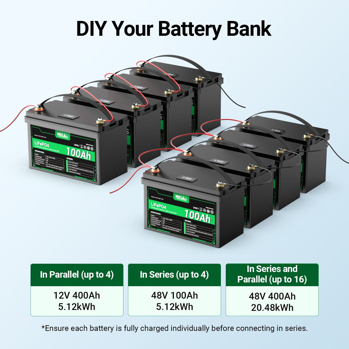12 Volt 100Ah Lithium Iron Phosphate Battery with LED Meter, LiFePO4 Battery, 10 Year Lifetime, Low & High Temp Protection
